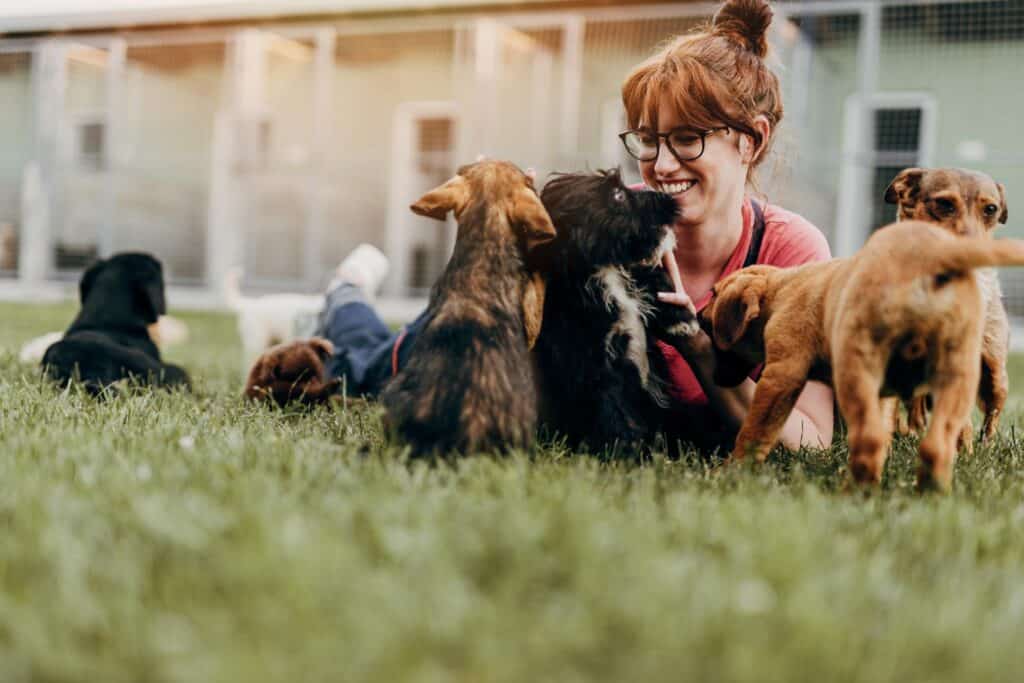 woman playing with dogs.